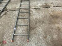 11' LADDER - 3