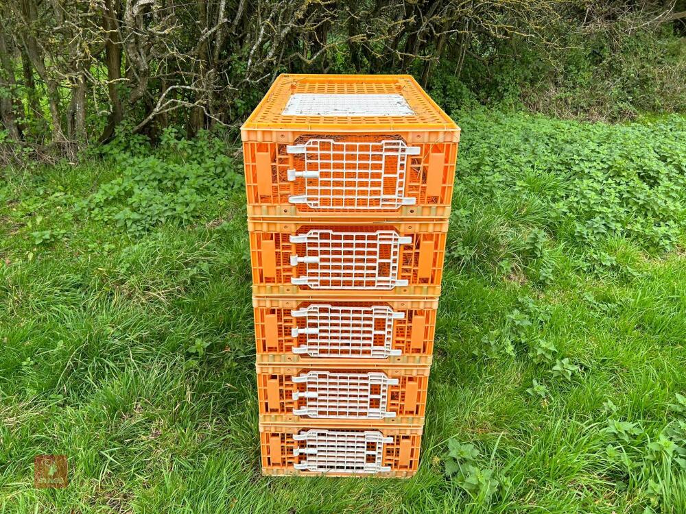 5 D3 TRANSPORT POULTRY CRATES