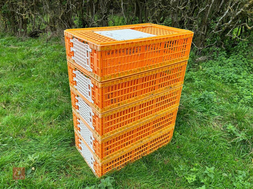 5 D3 TRANSPORT POULTRY CRATES