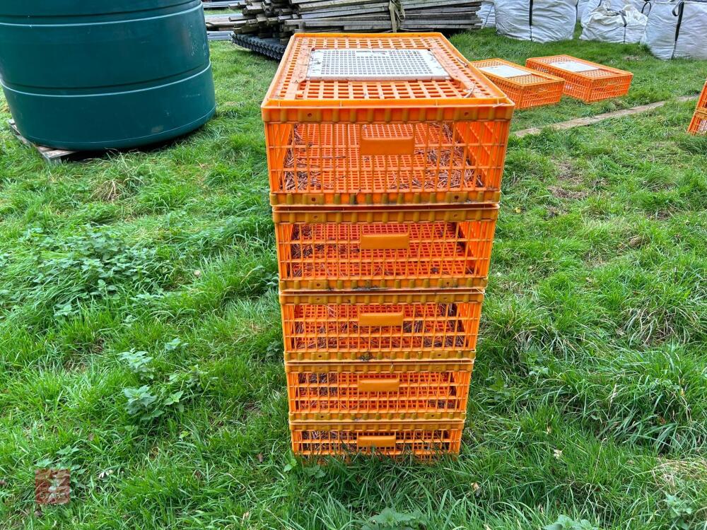 5 D3 TRANSPORT POULTRY CRATES