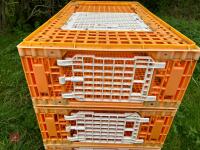 5 D3 TRANSPORT POULTRY CRATES - 2