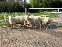 6 EXLANA X 2T EWES BIDS PER LIFE - 4