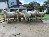 6 EXLANA X 2T EWES BIDS PER LIFE - 7