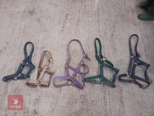 5 HEADCOLLARS