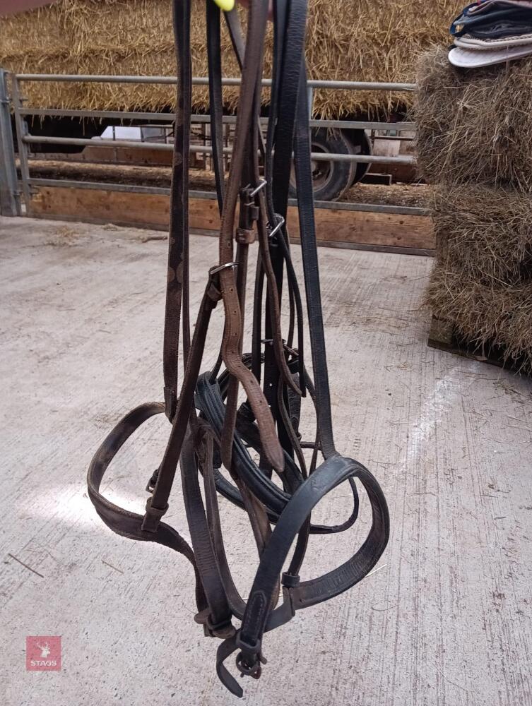 5 CAVESSON NOSEBANDS