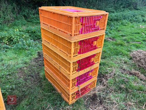 5 MONDIAL POULTRY/GAME TRANSPORT CRATES