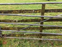 15' GALVANISED YARD GATE - 7