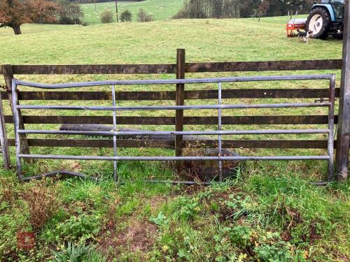 11' GALVANISED YARD GATE