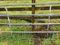 11' GALVANISED YARD GATE - 4