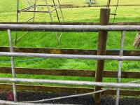 14' GALVANISED YARD GATE - 7