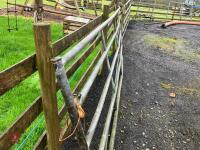 14' GALVANISED YARD GATE - 16