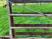 10' GALVANISED YARD GATE - 7