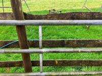 10' GALVANISED YARD GATE - 10