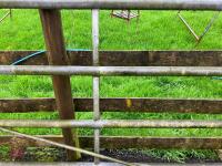 10' GALVANISED YARD GATE - 11