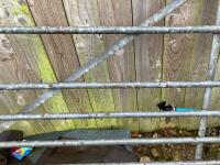 10' GALVANISED GATE - 8