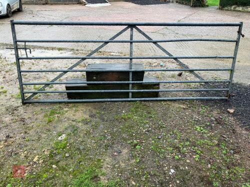 10' GALVANISED GATE