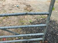 10' GALVANISED GATE - 3