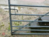 10' GALVANISED GATE - 11