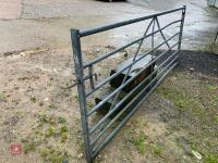 10' GALVANISED GATE - 13