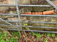 14' GALVANISED GATE - 12