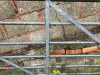 14' GALVANISED GATE - 14