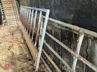 13' 9'' CATTLE FEED BARRIER - 20