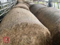 27 BALES OF HAY BIDS PER BALE - 2