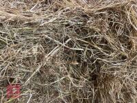 27 BALES OF HAY BIDS PER BALE - 3