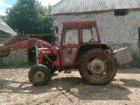 1985 MASSEY FERGUSON 250 2WD TRACTOR - 10