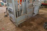 BATEMAN CATTLE WEIGH CRUSH - 7