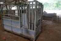 BATEMAN CATTLE WEIGH CRUSH - 8