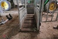 BATEMAN CATTLE WEIGH CRUSH - 10