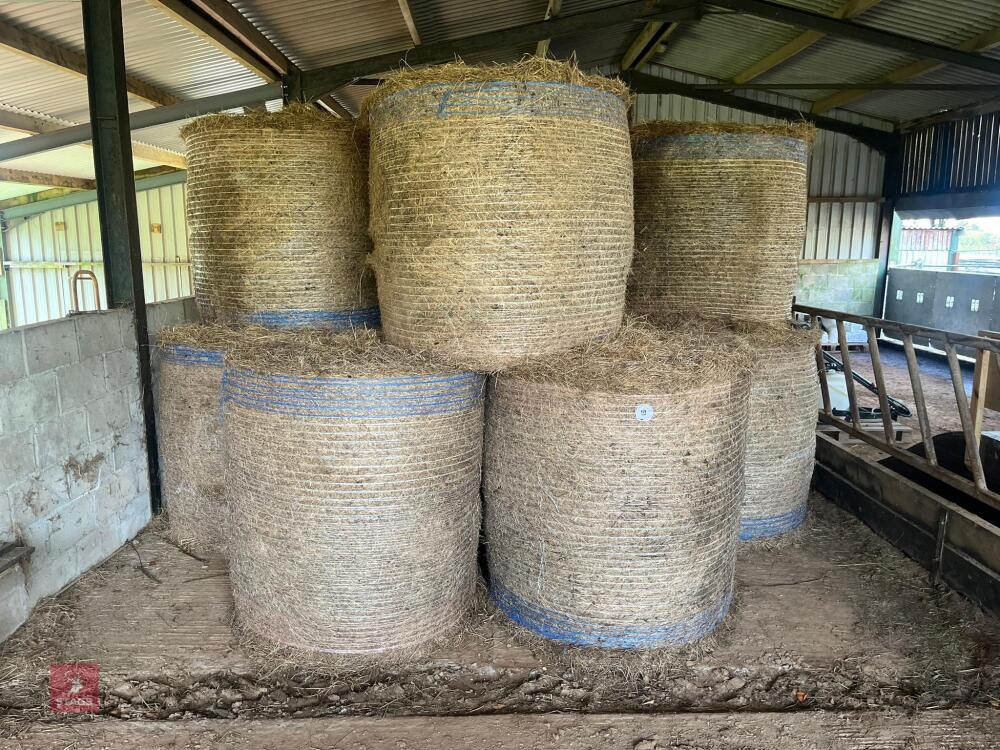 36 ROUND BALES OF 2024 HAY