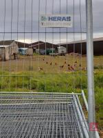 20X HERAS FENCING PANELS - 2