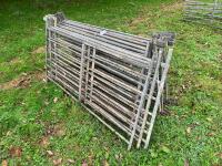 11 GALVANISED HD 6' SHEEP HURDLES