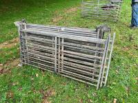 11 GALVANISED HD 6' SHEEP HURDLES - 2