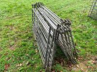 11 GALVANISED HD 6' SHEEP HURDLES - 5