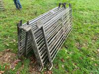 11 GALVANISED HD 6' SHEEP HURDLES - 7