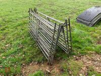 6 GALVANISED 6' SHEEP HURDLES - 3