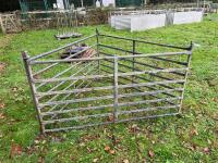 3 x 6' GALVANISED SHEEP HURDLES - 2