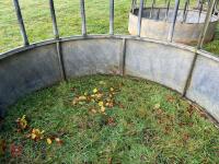 HD GALVANISED CATTLE RING FEEDER - 6