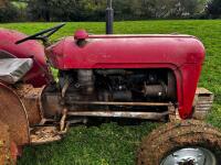 1961 MASSEY FERGUSON 35 2WD TRACTOR - 11