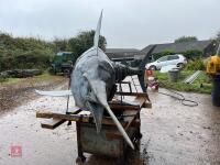 10' GALVANISED BLUE MARLIN SCULPTURE - 28