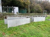 SHEEP RACE & SHEDDING GATES - 3