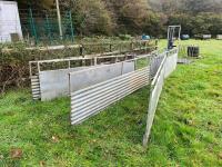 SHEEP RACE & SHEDDING GATES - 4