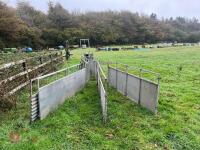 SHEEP RACE & SHEDDING GATES - 5