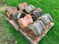 DOUBLE ROMAN RIDGE TILES (40) - 6