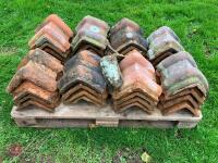 DOUBLE ROMAN RIDGE TILES (40) - 7