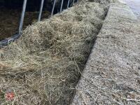 20 SQUARE BALES OF HAYLAGE BIDS PER BALE - 4