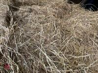 20 SQUARE BALES OF HAYLAGE BIDS PER BALE - 2